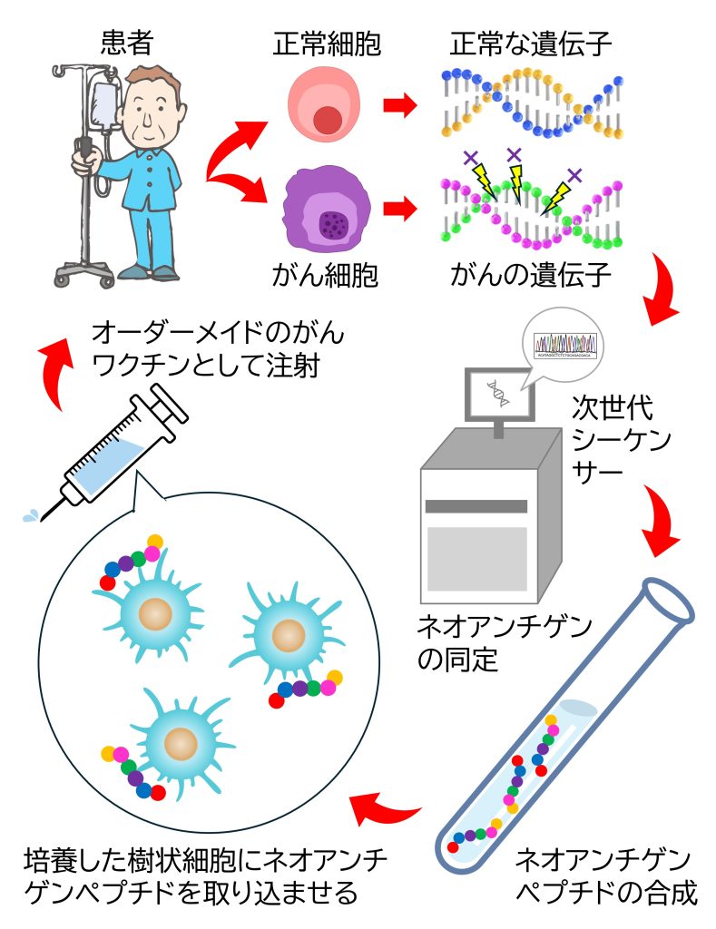 ネオアンチゲン樹状細胞ワクチン療法_銘煌CITクリニック